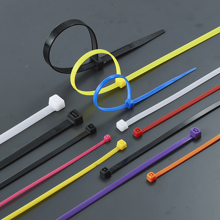 China Multi Sizes High quality Nylon 66 Self-Locking Cable Ties